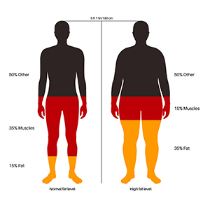 safe weight loss clinic for English speakers in Seoul