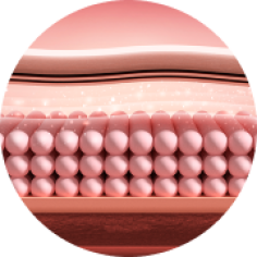 Best English speaking dermatology clinic for Rejuran treatment in Seoul